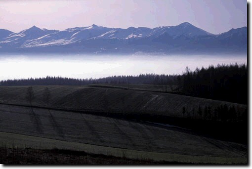 丘の霧