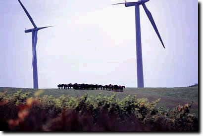 苫前町の風力発電
