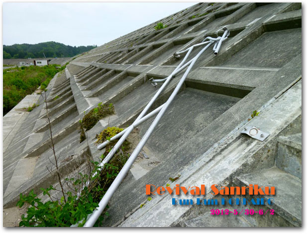 �c�V���@�h����