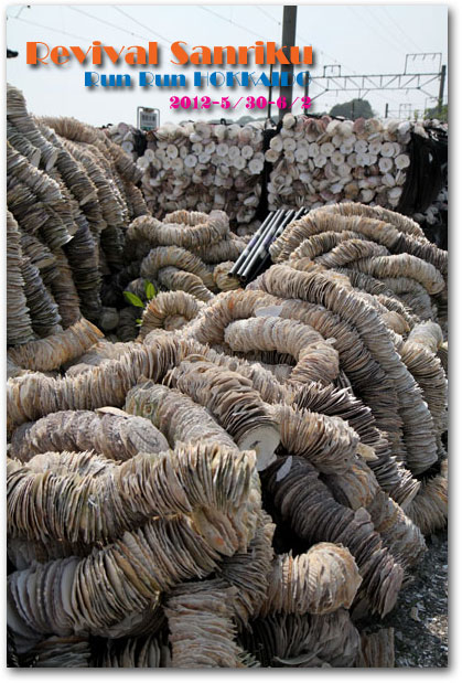 ���O��ˉw�O