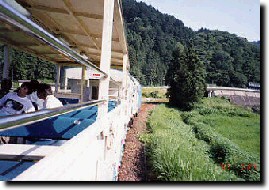 長良川のトロッコ列車